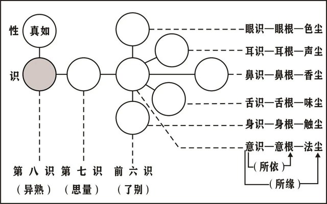 編ʦΨʶѧҪ